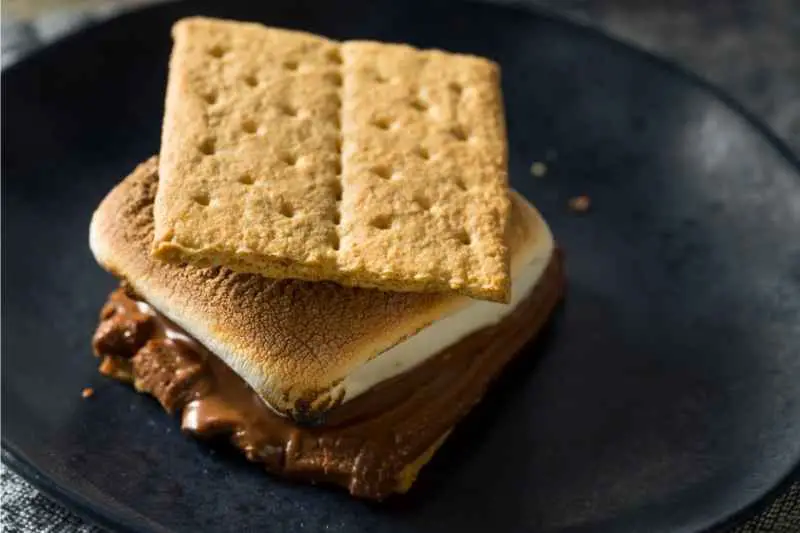Melted Chocolate Smores