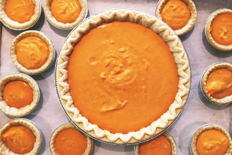 Pumpkin pies are healthy