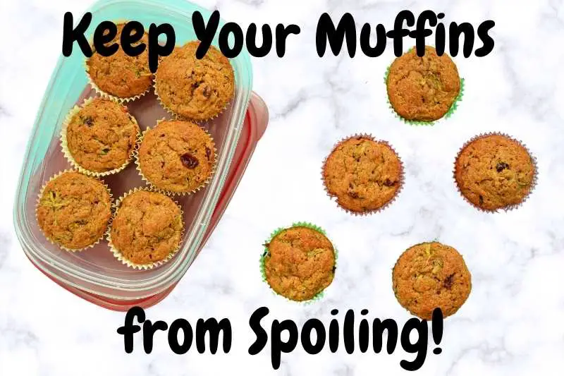 Keep Your Muffins from Spoiling with Containers