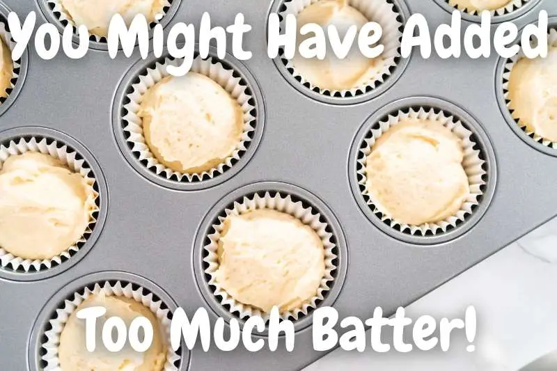 You Added Too Much Cupcake Batter