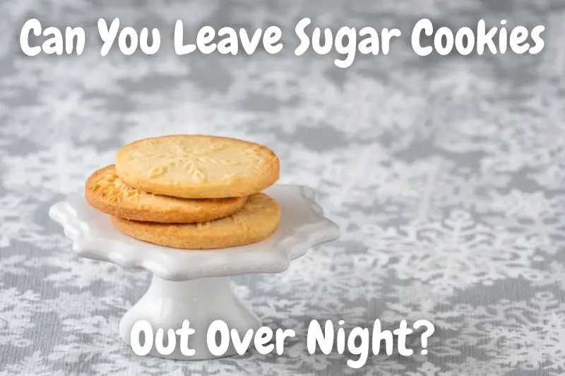 Can You Leave Sugar Cookies Out Over Night